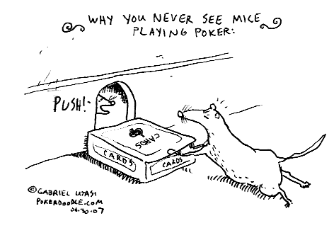 Mice playing poker